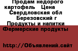 Продам недорого картофель › Цена ­ 300 - Свердловская обл., Березовский г. Продукты и напитки » Фермерские продукты   